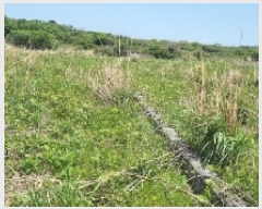  2025Ÿ��7837  �Ӿ߰��