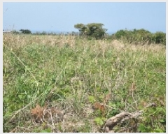  2025Ÿ��7837  �Ӿ߰��