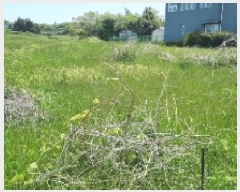  2025Ÿ��7837  �Ӿ߰��