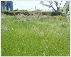  2025Ÿ��7837  �Ӿ߰��