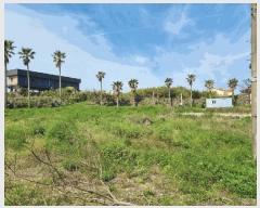  2025Ÿ��7854  �����