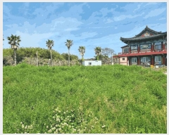  2025Ÿ��7854  �����