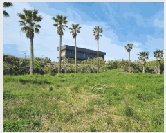  2025Ÿ��7854  �����