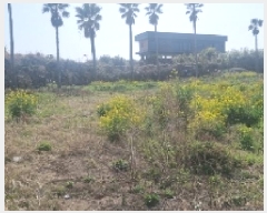  2025Ÿ��7854  �����