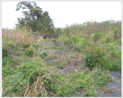  2025Ÿ��7895 ���� ���ֽ� �Ѹ��� ������ 1020      ����(��1)���