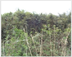  2025Ÿ��7895 ���� ���ֽ� �Ѹ��� ������ 1020      ����(��1)���