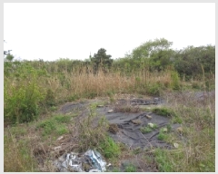  2025Ÿ��7895 ���� ���ֽ� �Ѹ��� ������ 1020      ����(��1)���