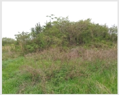  2025Ÿ��7895 ���� ���ֽ� �Ѹ��� ������ 1020      ����(��1)���