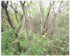  2025Ÿ��7895 ���� ���ֽ� �Ѹ��� ������ 1020      ����(��1)���