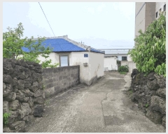  2025Ÿ��7961 ���� �������� ������ �ȼ��� 2029-7      ���ð��