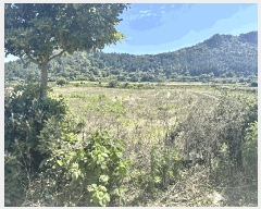  2025Ÿ��8117 ���� �������� �ȴ��� ��踮 1211-7      ����(��1)���