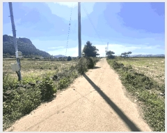  2025Ÿ��8117 ���� �������� �ȴ��� ��踮 1211-7      ����(��1)���