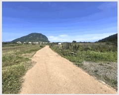  2025Ÿ��8117 ���� �������� �ȴ��� ��踮 1211-7      ����(��1)���
