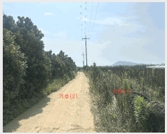  2025Ÿ��8167 ���� ���ֽ� �Ѱ�� ������ 3894-1      ����(��1)���
