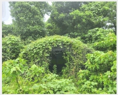  2025Ÿ��8250  �����