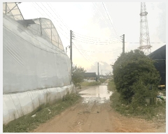  2025Ÿ��4387 ��� ����� ���籸 ��� 191-17      ����(��)���