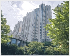  2025Ÿ��5632 ��� ����� �ϻ굿�� �Ļ絿 1565 ����Ƽ�����5���� 507�� 19��1903ȣ   ����Ʈ���