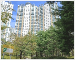  2025Ÿ��5632 ��� ����� �ϻ굿�� �Ļ絿 1565 ����Ƽ�����5���� 507�� 19��1903ȣ   ����Ʈ���