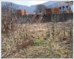  2025Ÿ��6451 ��� ���ֽ� ������ ������ 572-3      ����(�Ӿ�)���