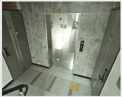  2025Ÿ��62457  �ټ���(����)���