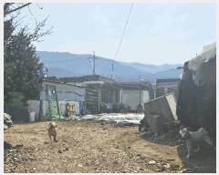  2025Ÿ62541  ֽ  븮 27-6      ð