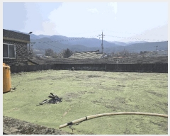  2025Ÿ62541  ֽ  븮 27-6      ð