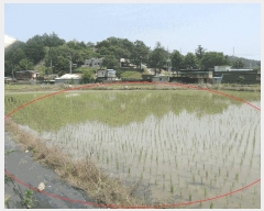  2025Ÿ��63142  �����