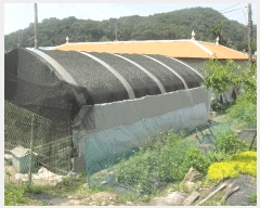  2025Ÿ��63142  �����