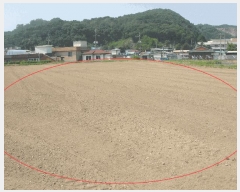  2025Ÿ��63142  �����