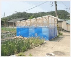  2025Ÿ��63142  �����