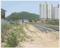  2025Ÿ��63142  �����