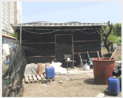  2025Ÿ��63142  �����