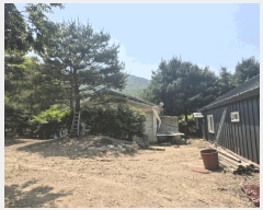  2025Ÿ��63173  ���ð��