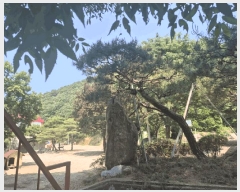  2025Ÿ��63173  ���ð��