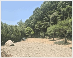  2025Ÿ��63173  ���ð��