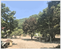  2025Ÿ��63173 ��� ���ֽ� ������ ������ ��59      ����(�Ӿ�)���