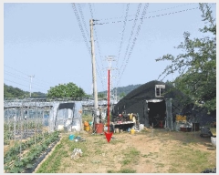  2025Ÿ��63177  �����