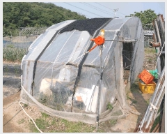  2025Ÿ��63177  �����