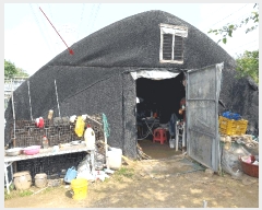  2025Ÿ��63177  �����