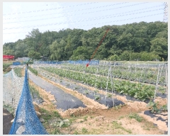  2025Ÿ��63177  �����