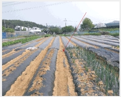  2025Ÿ��63177  �����