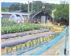  2025Ÿ��63177  �����