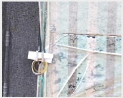  2025Ÿ��63177  �����