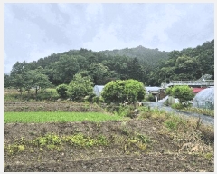  2025Ÿ63268  ֽ  õ 135-3      (Ӿ)