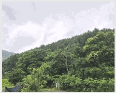  2025Ÿ63268  ֽ  õ 135-3      (Ӿ)