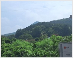  2025Ÿ63268  ֽ  õ 135-3      (Ӿ)