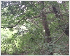  2025Ÿ63268  ֽ  õ 135-3      (Ӿ)