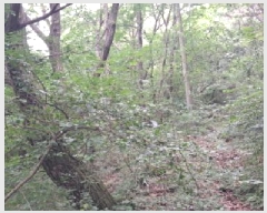  2025Ÿ63268  ֽ  õ 135-3      (Ӿ)