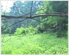  2025Ÿ63268  ֽ  õ 135-3      (Ӿ)