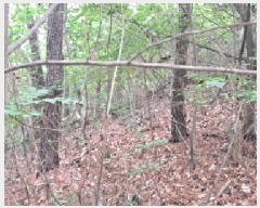  2025Ÿ63268  ֽ  õ 135-3      (Ӿ)